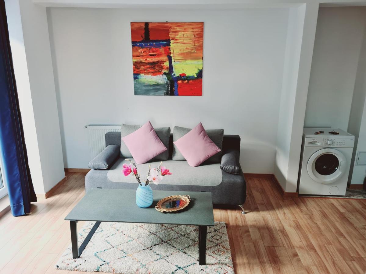קלוז'-נאפוקה Ultracentral 5* Boutique Hotel Style Apartment. Brand New. 2 Rooms. Spacious. Free Parking מראה חיצוני תמונה