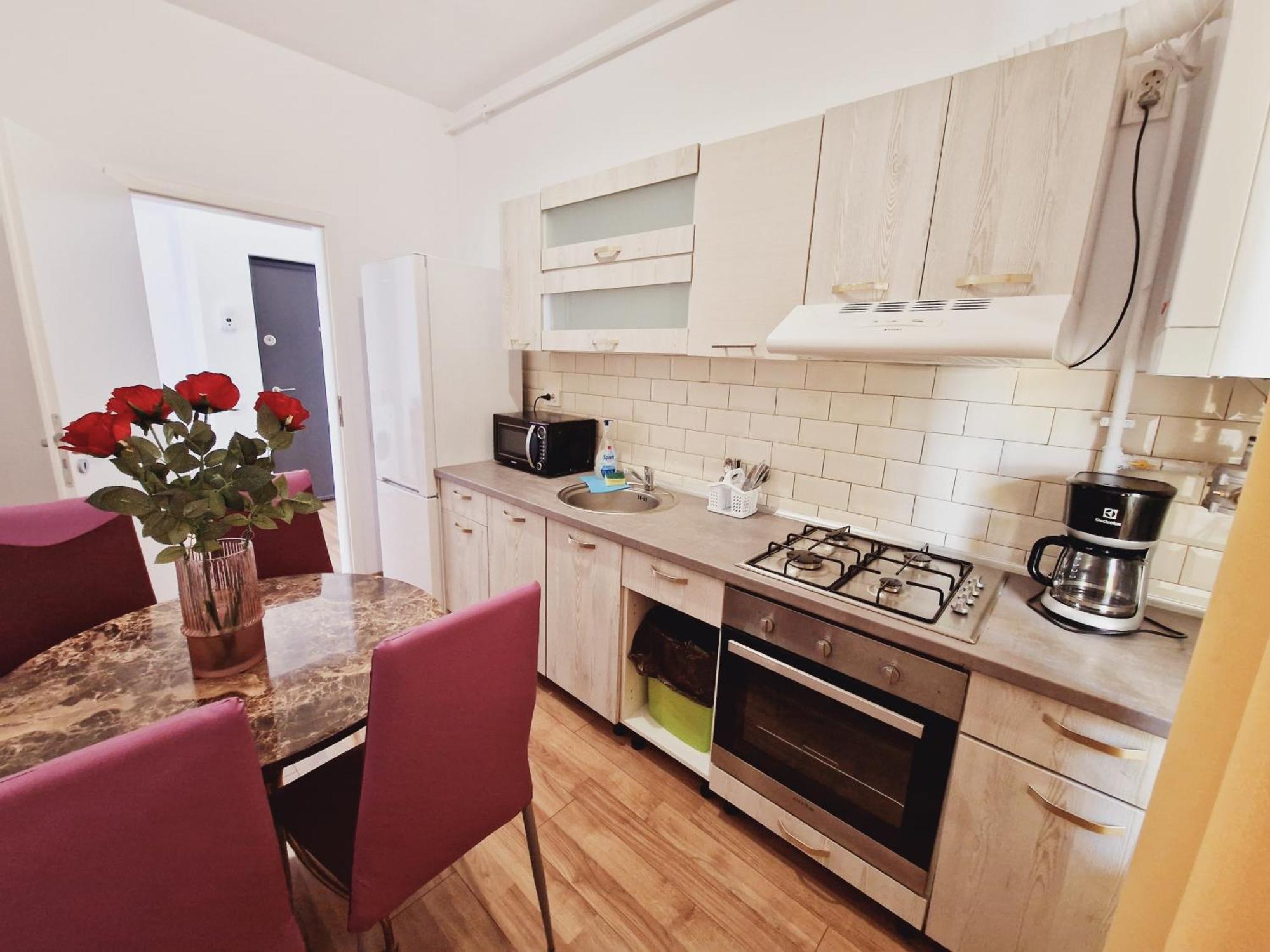 קלוז'-נאפוקה Ultracentral 5* Boutique Hotel Style Apartment. Brand New. 2 Rooms. Spacious. Free Parking מראה חיצוני תמונה